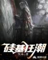 硅基狂潮 硅基狂潮