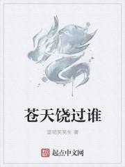 无敌姑爷 无敌姑爷