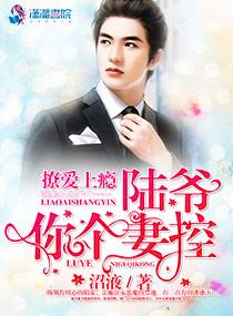 撩爱上瘾:陆爷,你个妻控 撩爱上瘾:陆爷,你个妻控