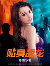 贴身战龙 贴身战龙