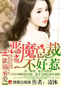 恶魔总裁不好惹:欲锦承爱 恶魔总裁不好惹:欲锦承爱