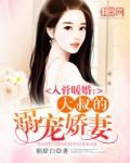 入骨暖婚:大叔的溺宠娇妻 入骨暖婚:大叔的溺宠娇妻