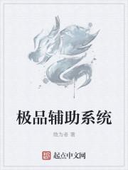 极品辅助系统 极品辅助系统