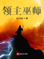 领主巫师 领主巫师